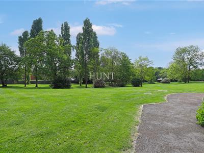 Picture 29